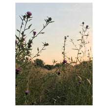Load image into Gallery viewer, Sussex Wildflower Honey - Soft Set (227g)