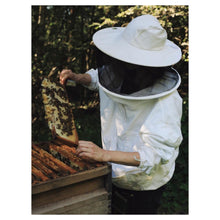 Load image into Gallery viewer, Sussex Wildflower Comb Honey (227g)